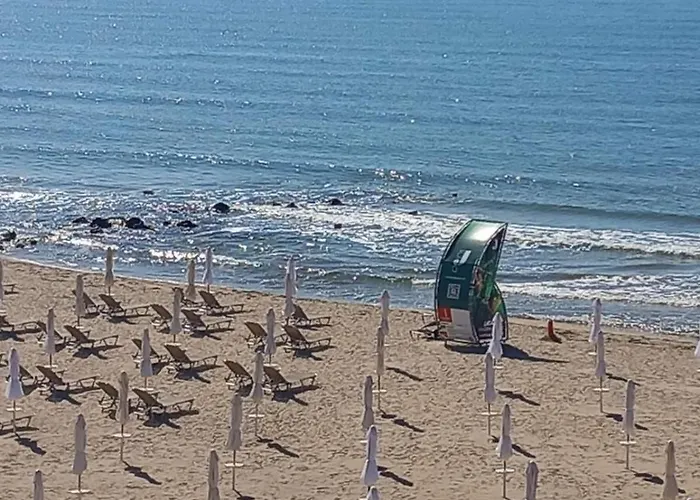 съни бей Apartman Napospart